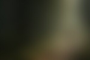 Фотография перформанса Каннибалы: жажда крови от компании На панике (Фото 1)