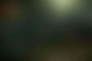 Фотография перформанса Поворот не туда: наследие от компании На иглах смерти (Фото 1)